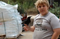 Our bird helped out too!