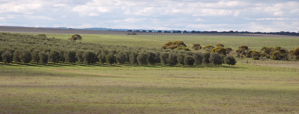 Our Farm