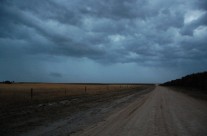 Storm clouds over the orchard.